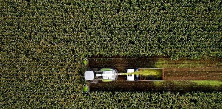 <strong><span style="color: #ffcc00;">Agrility</span><br /></strong>