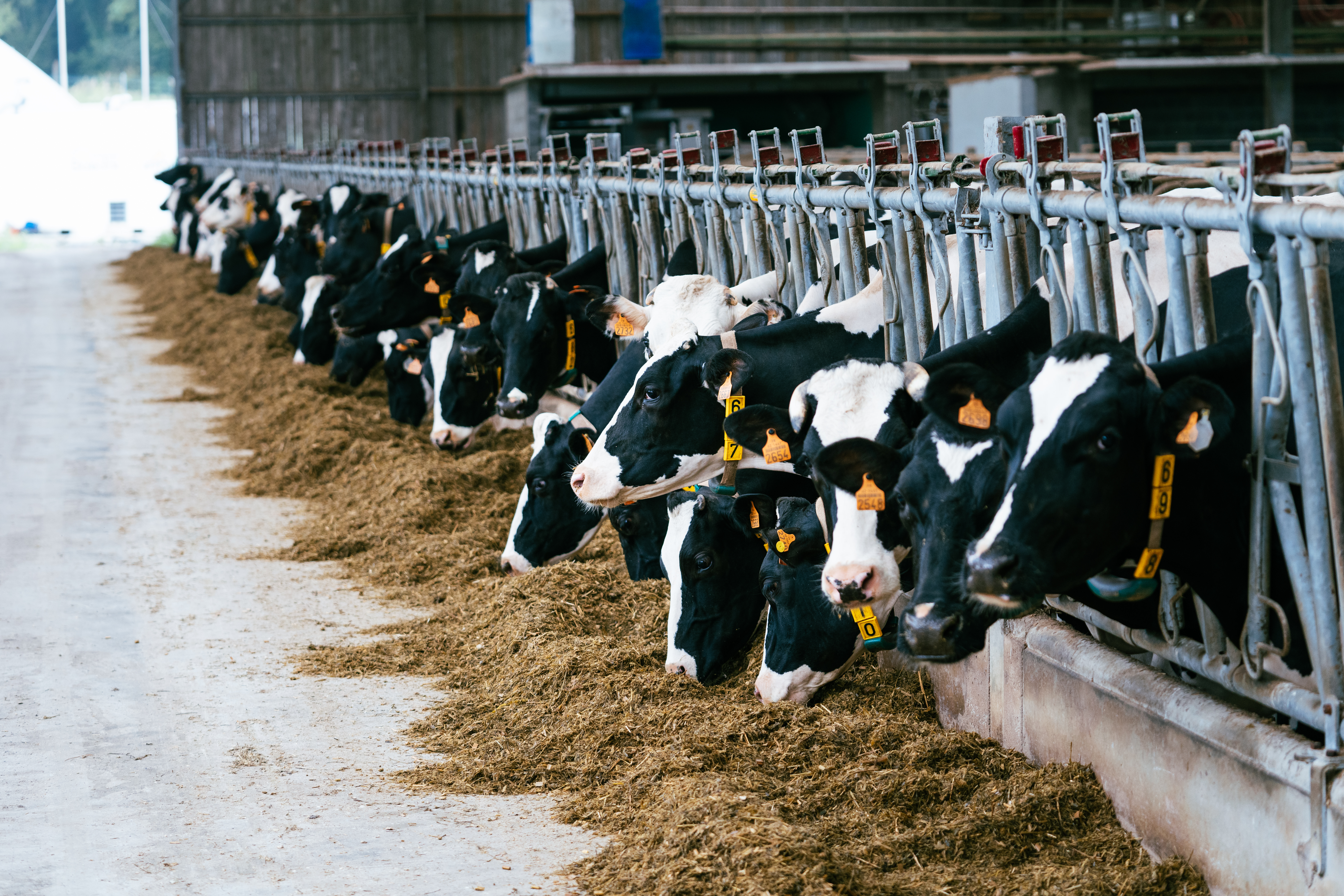 TRAVAIL A FACON : DE LA MOISSON A LA RATION