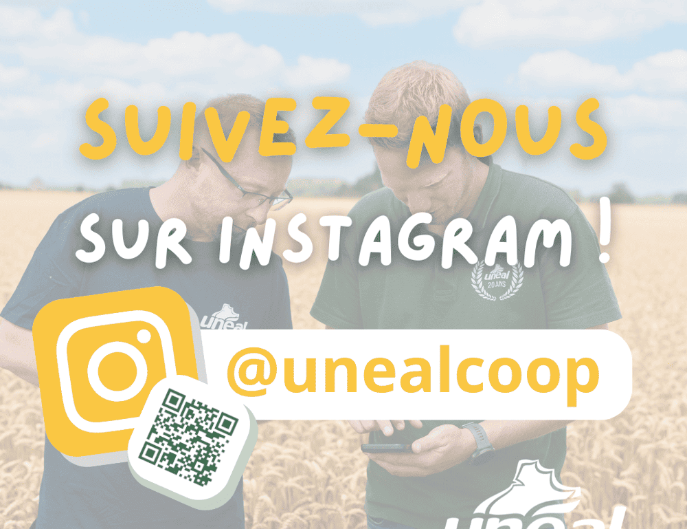 SUIVEZ UNEAL SUR INSTAGRAM 
