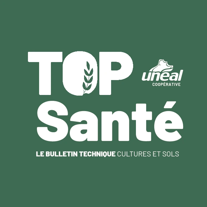 Le Top santé, le bulletin technique cultures et sols d’Unéal évolue !