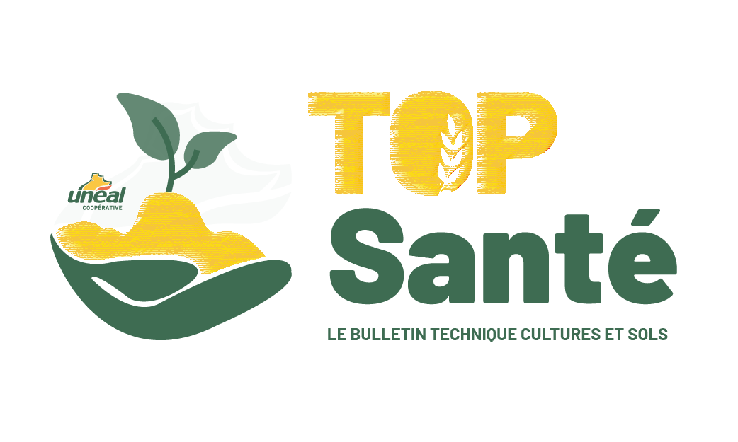 Le Top santé, le bulletin technique cultures et sols d’Unéal évolue !