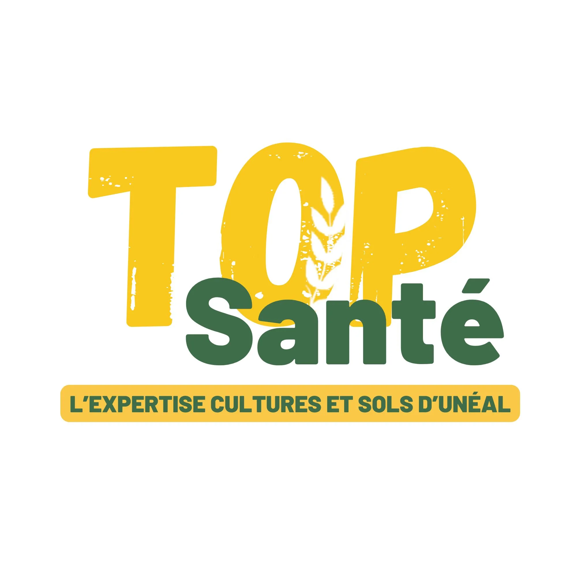 Le bulletin Top sant&eacute; du 05 ao&ucirc;t est disponible