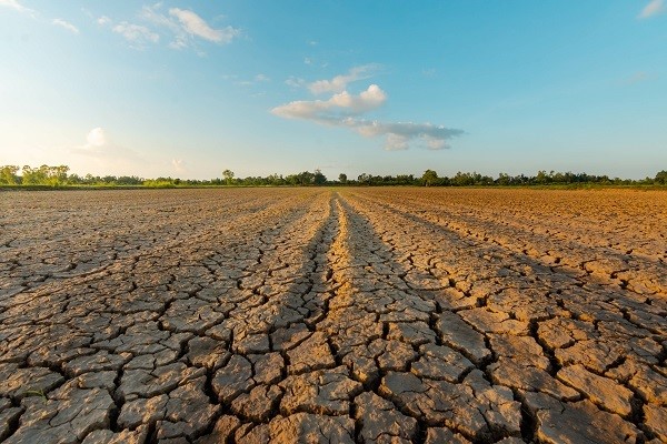 le Nord et une grande partie du Pas de Calais en restriction d’irrigation le week-end