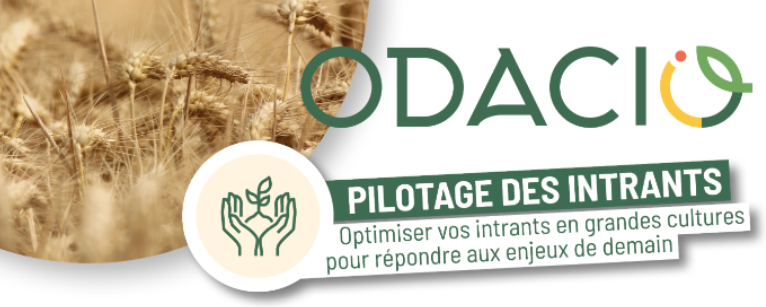 Réunion technique : pilotage de la fertilisation, désherbage et fongicide