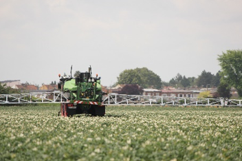 Vos prochains rendez-vous techniques pomme de terre