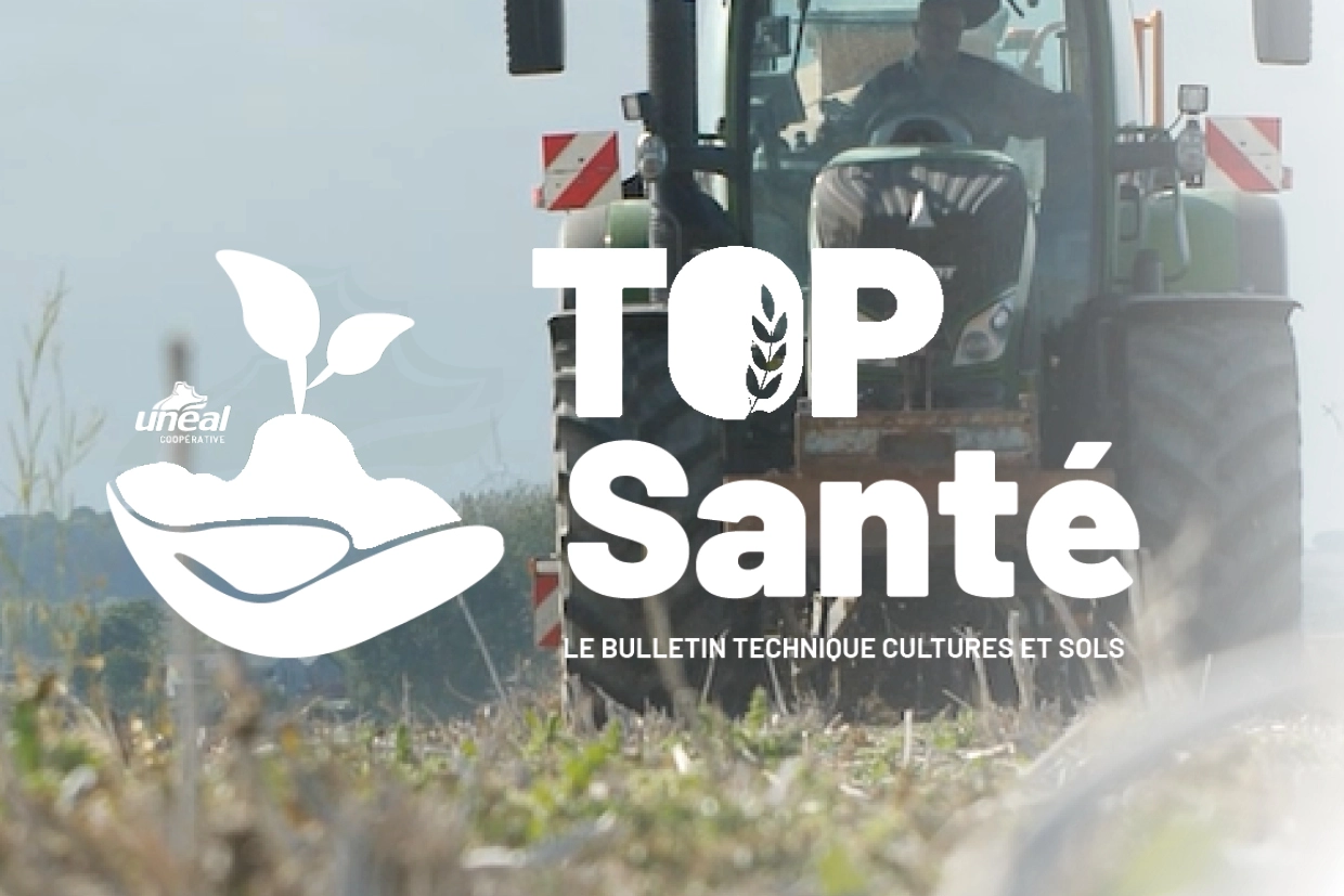 Top sant&eacute; Flash