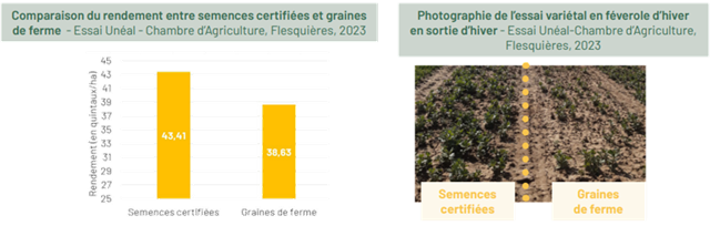 Essai Unéal 2023 en féverole d'hiver - Semence certifiée vs. semence de ferme
