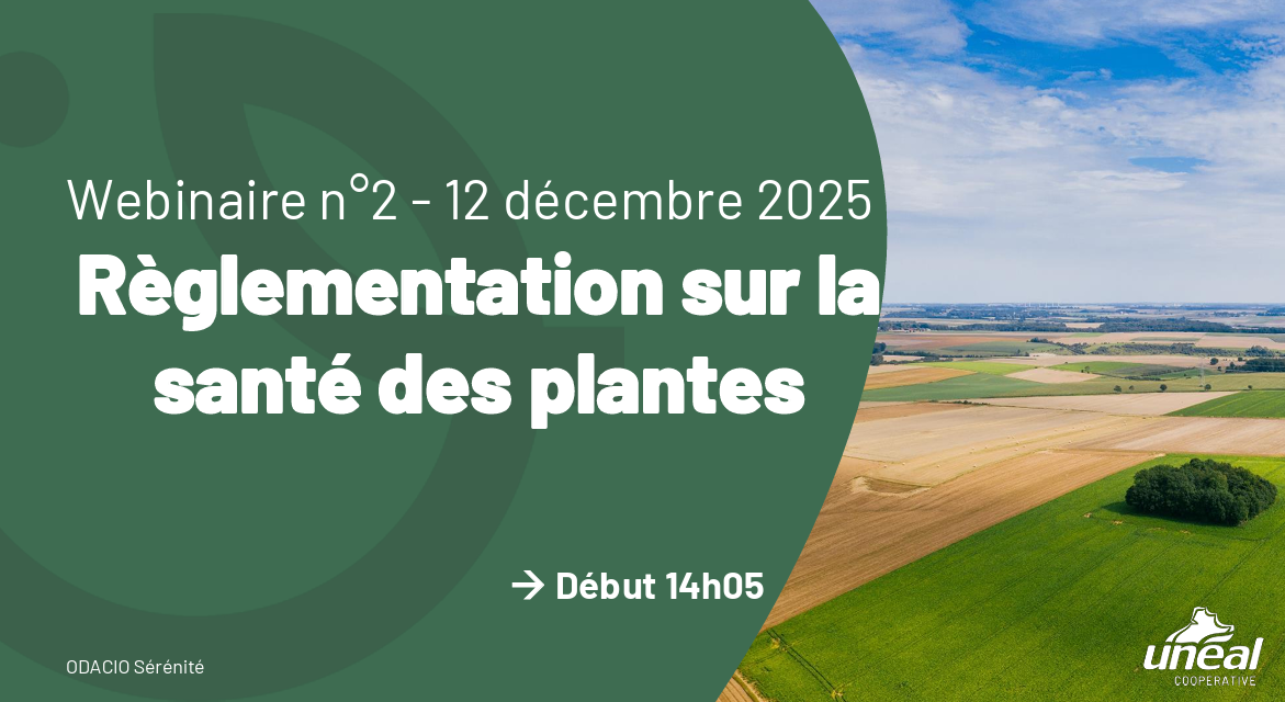 Réglementation en santé des plantes – Replay du webinaire du 12 décembre