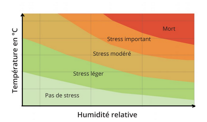 Evolution du stress thermique en fonction de la température et de l'humidité relative.