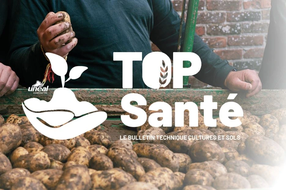 Le bulletin Top santé du 20 août est disponible