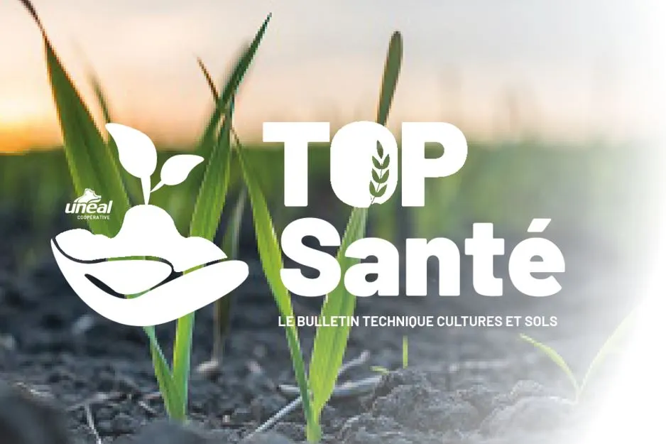 Le bulletin Top santé du 29 octobre est disponible