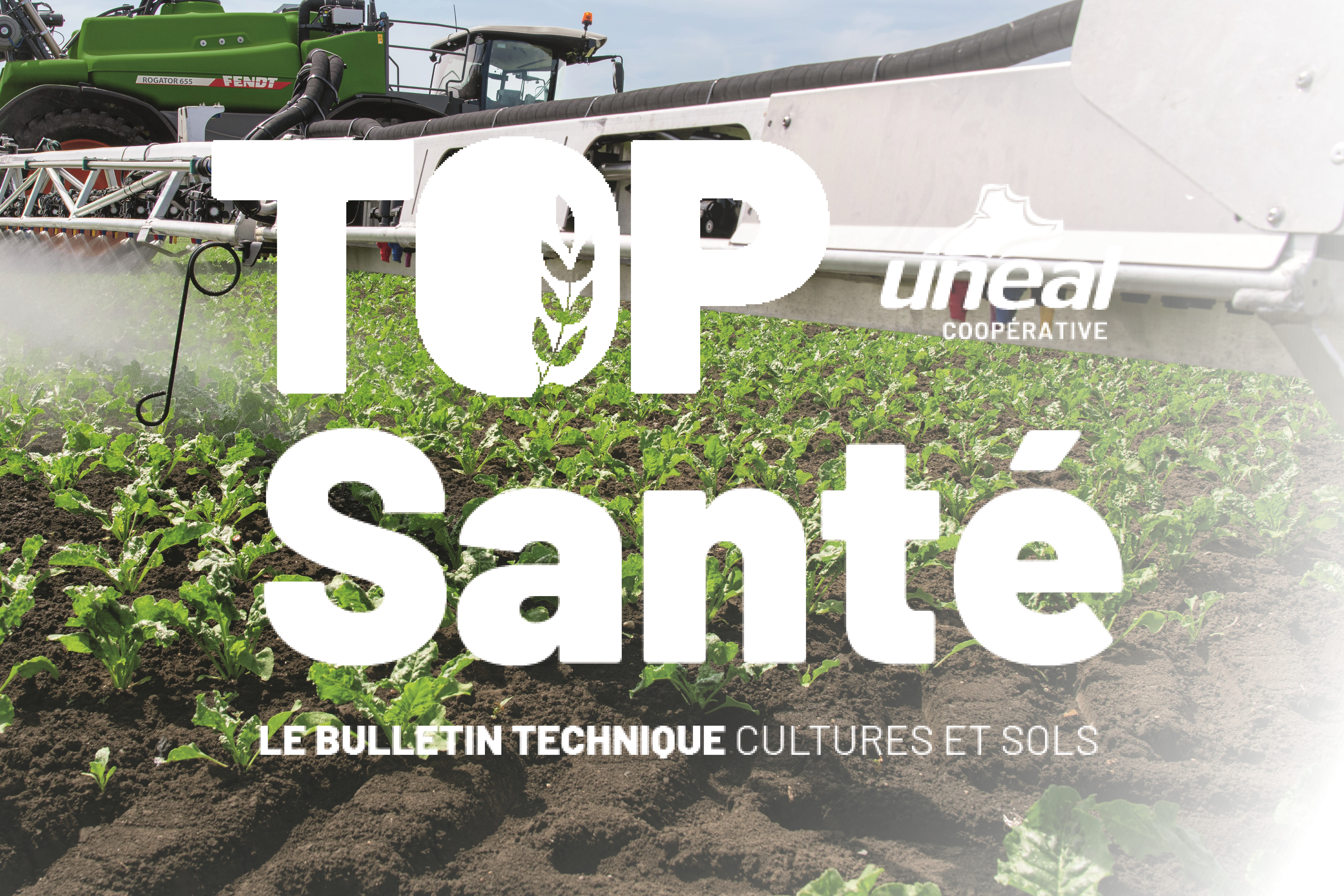 Le bulletin Top santé du 16 avril est disponible