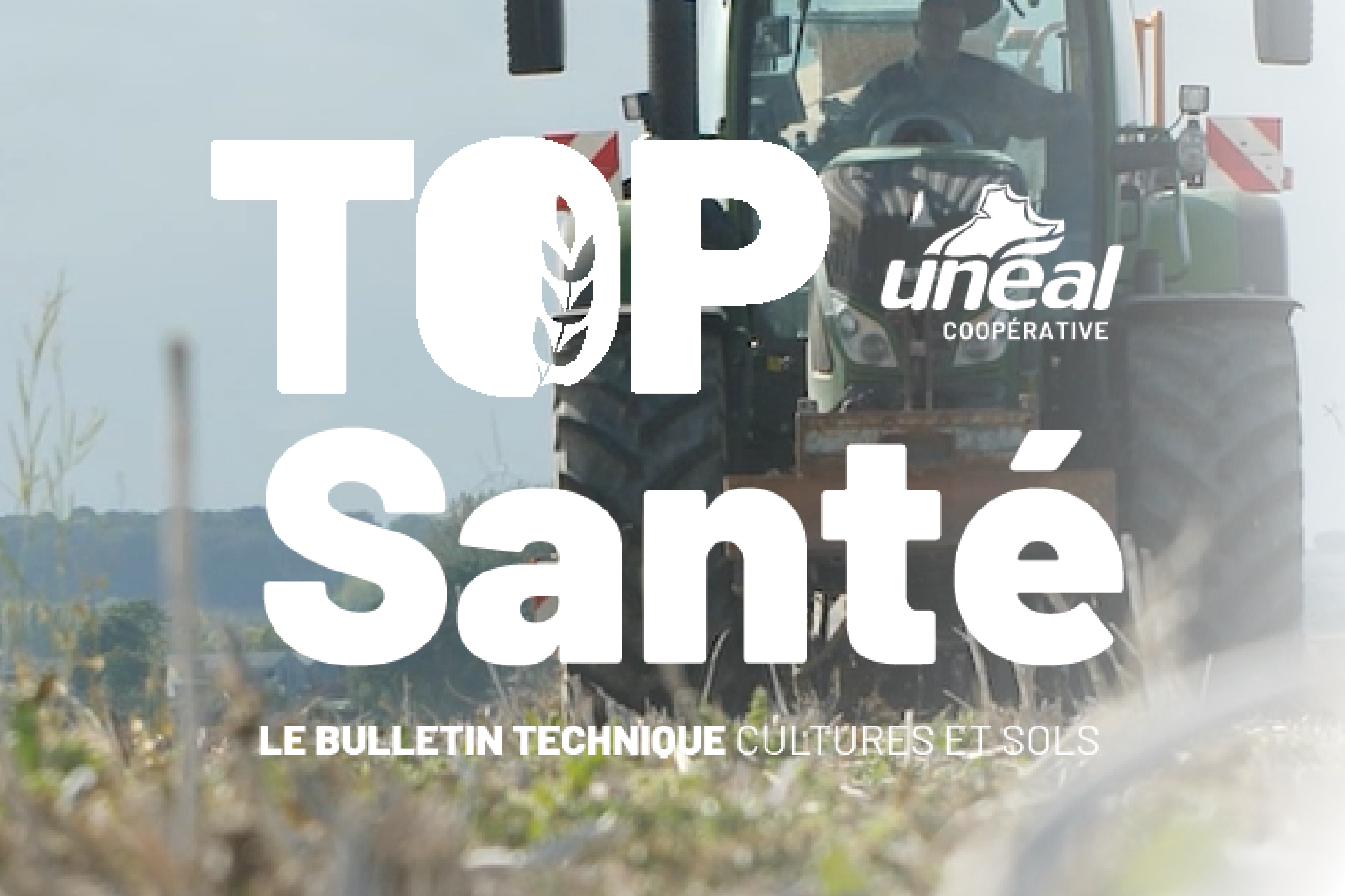 Top santé Flash